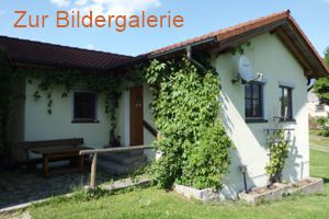Ferienhaus Wiesengrund